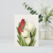 Carte postale florale de tulipes rouges et blanche (Debout devant)