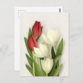 Carte postale florale de tulipes rouges et blanche (Devant / Derrière)