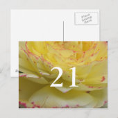 Carte postale florale délicate pour 21e anniversai (Devant / Derrière)