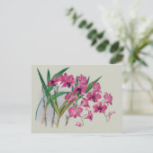 Carte postale florale Dendrobium Orchidées (Debout devant)
