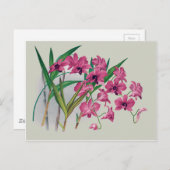 Carte postale florale Dendrobium Orchidées (Devant / Derrière)