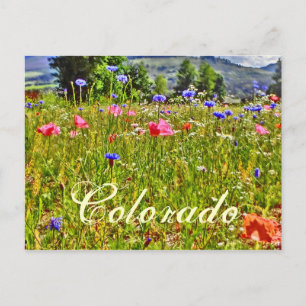 Carte postale florale du Colorado