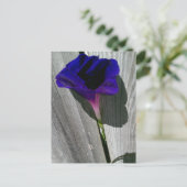 Carte postale florale jolie (Debout devant)