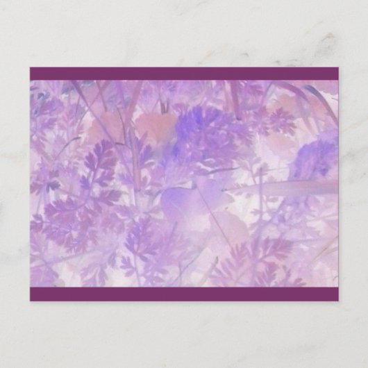 Carte postale florale Lavender (Devant)