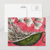 Carte postale florale "Milkweed Pod" (Devant / Derrière)