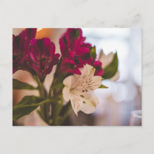 Carte postale florale minimale