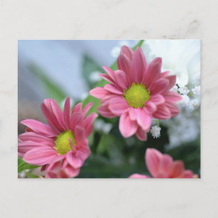 Carte postale florale minimale