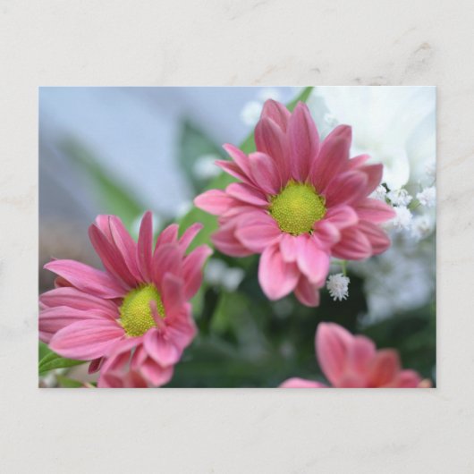 Carte postale florale minimale (Devant)