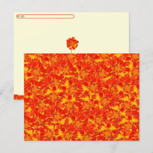 Carte postale Florale orange et rouge Marigold