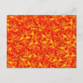 Carte postale Florale orange et rouge Marigold (Devant)