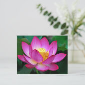 Carte postale florale rose violet lotus (Debout devant)