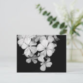 Carte Postale Floraux noir et blanc (Debout devant)