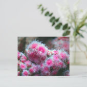 Carte Postale Flore océanique (Debout devant)