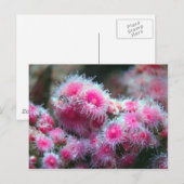 Carte Postale Flore océanique (Devant / Derrière)