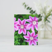 Carte Postale Flore rose sauvage Oregano verdure botanique (Debout devant)