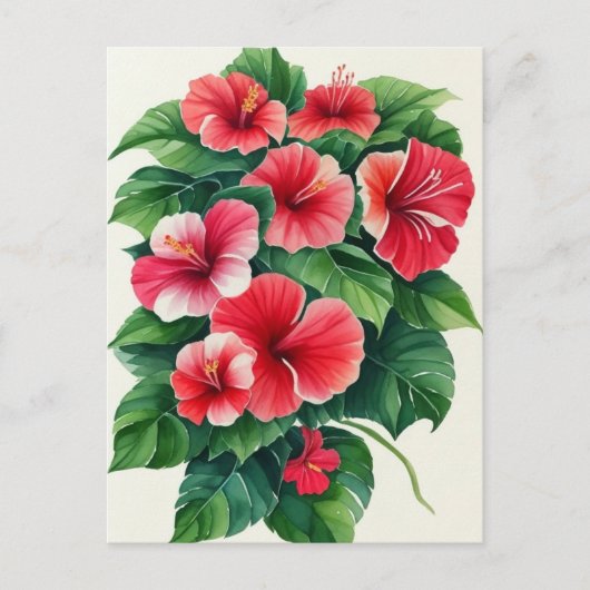 Carte Postale Flore tropicale Hibiscus rouge clair (Devant)