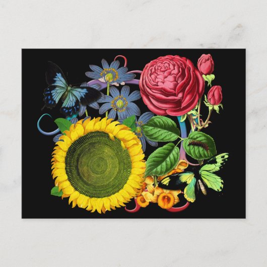 Carte Postale Flore vintage (Devant)