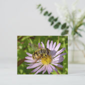 Carte Postale Florea de Hoverfly - de Myathropa (Debout devant)