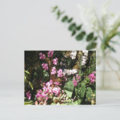 Carte Postale Flores d'Orquideas (Debout devant)