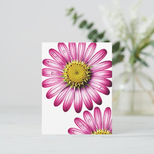 Carte Postale flores gérbera (Debout devant)