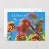 Carte postale Florida Butterly (Devant / Derrière)
