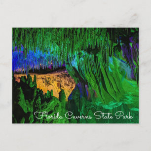 Carte postale Florida Caverns State Park