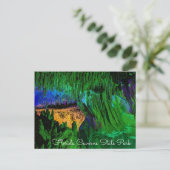 Carte postale Florida Caverns State Park (Debout devant)