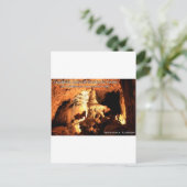 Carte Postale FLORIDA CAVERNS STATE PARK - Marianna, Floride (Debout devant)