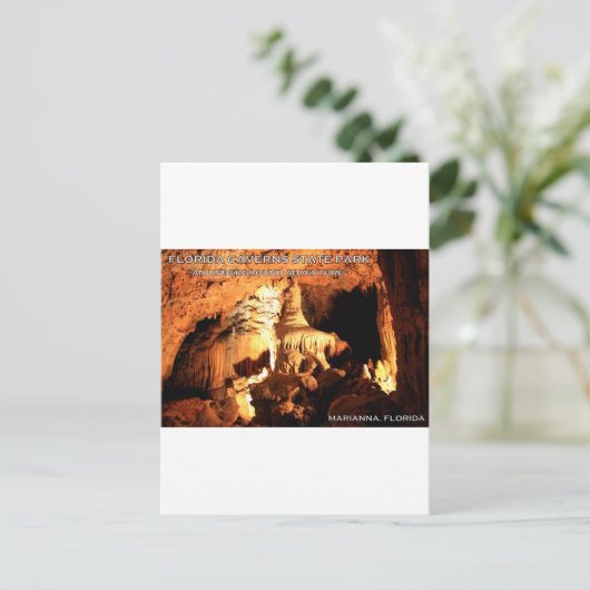 Carte Postale FLORIDA CAVERNS STATE PARK - Marianna, Floride (Debout devant)