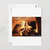 Carte Postale FLORIDA CAVERNS STATE PARK - Marianna, Floride (Devant / Derrière)