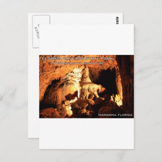 Carte Postale FLORIDA CAVERNS STATE PARK - Marianna, Floride (Devant / Derrière)
