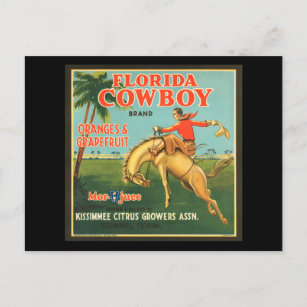 Carte Postale Florida Cowboy Oranges & Grapefruit Vintage Ad
