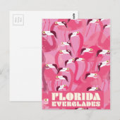 Carte Postale Florida Everglades Flamant rose affiche de voyage  (Devant / Derrière)