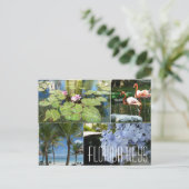 Carte postale Florida Keys (Debout devant)