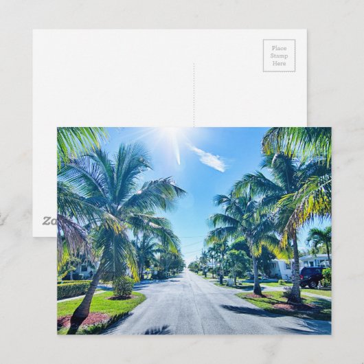 Carte Postale Florida Keys (Devant / Derrière)