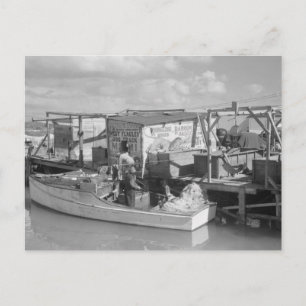 Carte Postale Florida Keys Fishing, 1938