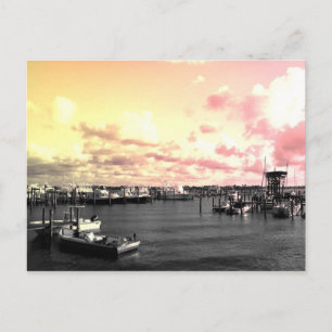 Carte Postale Florida Marina Photo Ciel jaune et rose