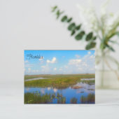Carte postale Florida Marsh (Debout devant)