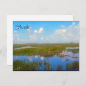 Carte postale Florida Marsh (Devant / Derrière)