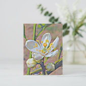 Carte Postale Florida Orange Blossom (Debout devant)