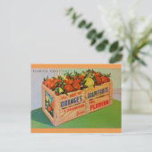 Carte postale Florida Oranges et Crate de pamplemo (Debout devant)
