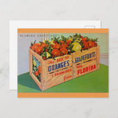 Carte postale Florida Oranges et Crate de pamplemo (Devant / Derrière)