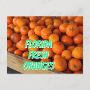 Carte Postale FLORIDA ORANGES FRAIS Farmer's Market Grove