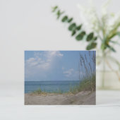 Carte postale Florida Paradise (Debout devant)