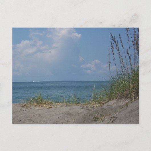 Carte postale Florida Paradise (Devant)