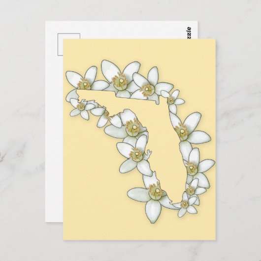 Carte Postale Florida State Flower (Devant / Derrière)