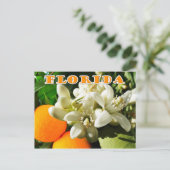 Carte Postale Florida State Flower : La Blossom Orange (Debout devant)
