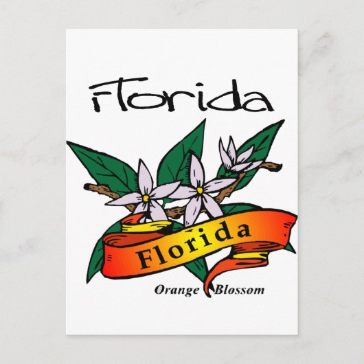 Carte Postale Florida State Flower Orange Blossom (Devant)
