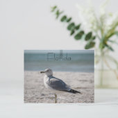 Carte Postale Floride (Debout devant)