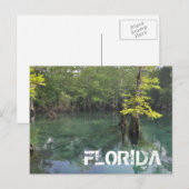 CARTE POSTALE FLORIDE (Devant / Derrière)